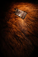 1930s Swiss Army Tornister Backpack